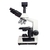 Microscopio Basic Trinocular Acromatico (Kasvi) - loja online