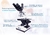 Imagem do Microscopio Basic Trinocular Acromatico (Kasvi)
