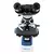 Microscópio Binocular Ótica Acromática Led Aumento 1000x (CRAL) - comprar online