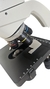 MICROSCÓPIO BIOLÓGICO BINOCULAR SÉRIE RED (KASVI) - comprar online