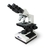 Microscopio Basic Binocular Acromatico (Kasvi)