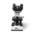 Microscopio Basic Binocular Semi-Plano (/Kasvi) na internet
