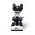 Microscopio Basic Binocular Acromatico (Kasvi) - comprar online