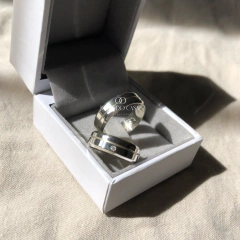 Alianças Alaska 6mm | Prata 950 - loja online