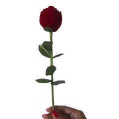 Caixinha para Alianças Flor na internet