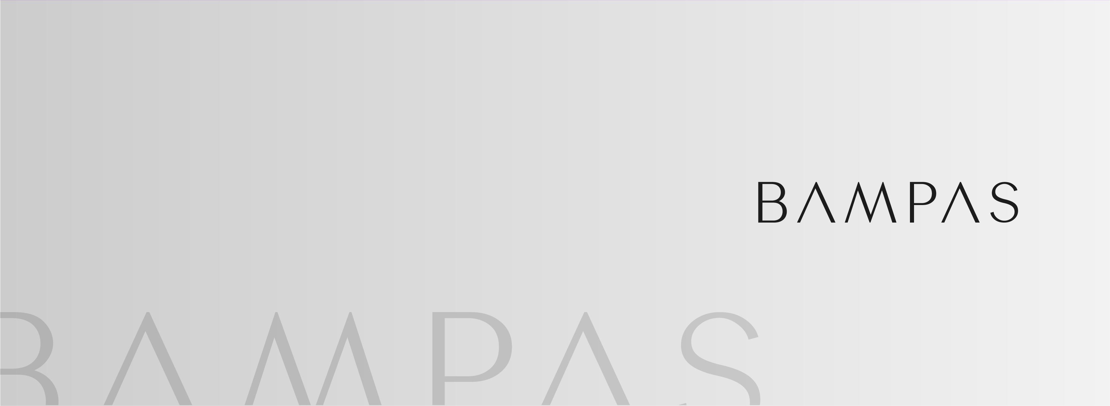 Banner de Bampas