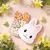 Snack box Bunny en internet