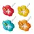 Pick flores tropicales