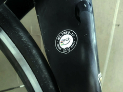 Imagem do Wilier Triestina Twibland