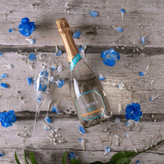 Espumante Aurora 0,00% Zero Álcool Branco - comprar online