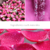 Tónico Facial (Agua de rosas) en internet