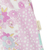 SHORT BB NENA