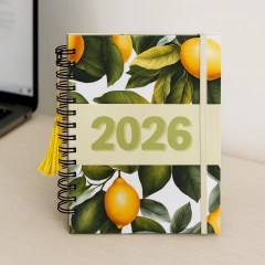 Agenda Diária 2026