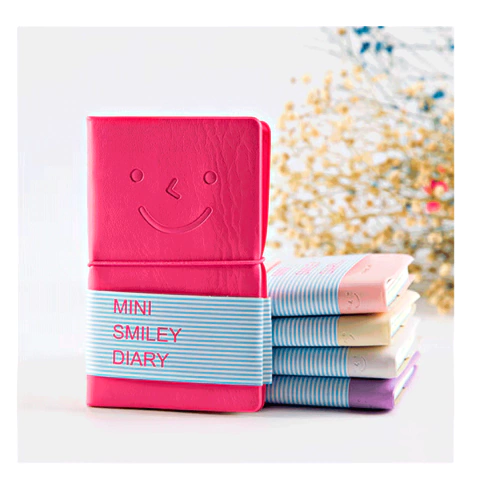 Mini Smiley Diary