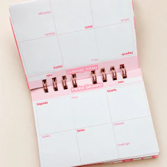 Planner Semanal Moranguinho - P - comprar online