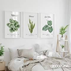 SET X 3 - Botanical Good vives- T004 en internet
