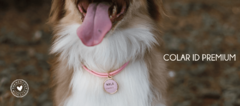 Banner da categoria ID PREMIUM