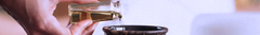 Banner da categoria Óleos Essenciais