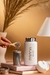 Kit Infusor de Chá + Hydra 350 ml: PRANA X PACCO na internet