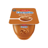 DANETTE DULCE DE LECHE 95GR