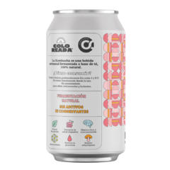 Kombucha Mango, Rooibos y Brain boost x6 - comprar online