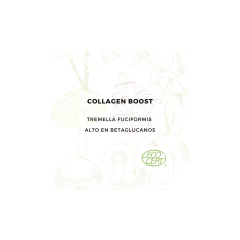 Collagen Boost - Extracto concentrado de tremella en polvo - Smart Foods