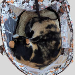 Bag Pet Estampa Gatos Vivi For Pets na internet