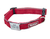 Collar Rapido Reflex - tienda online