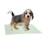 PAÑOPET MINI COMPACT X 5 - comprar online