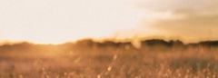 Banner de la categoría BUZOS