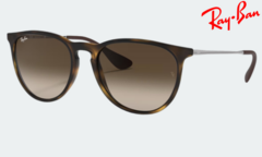 Erika Carey Marrón degradé - RB4171 - comprar online