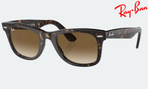 Wayfarer Carey Marrón degradé - RB2140