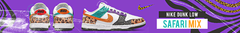 Banner da categoria DUNK