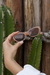 Óculos De Sol Da Moda Charlotte Gatinho Nude - comprar online