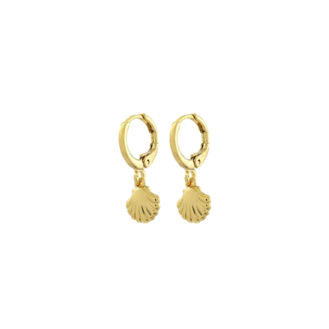 Brinco argolinha de concha - Banhado á Ouro 18k