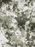 CAMUFLADO MANCHAS
