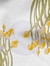 fungi 1