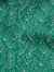 kelp