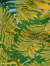 palmas verde
