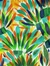plumaje 01