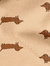 salchicha