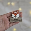 souvenir zorrito con cartel