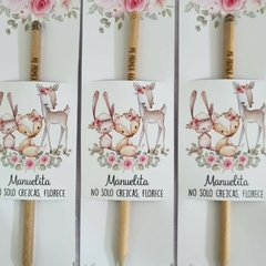 Lapices Plantables con carton - comprar online