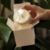 Vela Aromática Saint Tropez - loja online