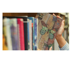 COFRE LIVRO BORBOLETA - KBS801-BOR