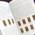 Tarot Simbólico de Wirth Kit - Edición de Lujo