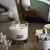 Velas de Soja con Piedritas Energéticas en internet