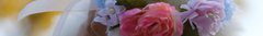 Banner de la categoría Higiene y belleza
