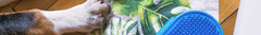 Banner de la categoría Higiene y Belleza