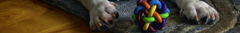 Banner de la categoría Juguetes